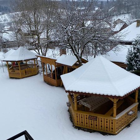 Camere De Inchiriat Floarea Reginei Vişeu de Sus Dış mekan fotoğraf