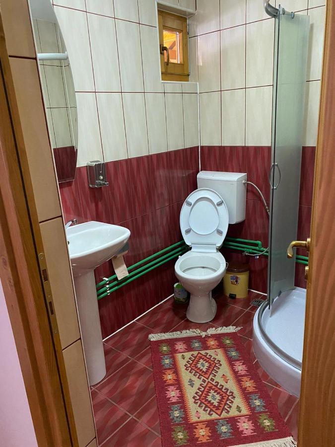 Camere De Inchiriat Floarea Reginei Vişeu de Sus Dış mekan fotoğraf