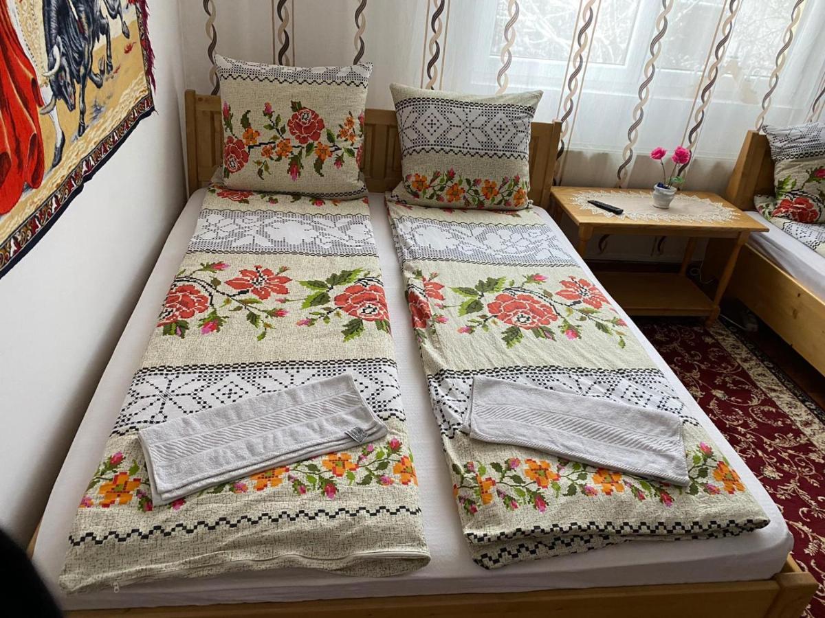 Camere De Inchiriat Floarea Reginei Vişeu de Sus Dış mekan fotoğraf