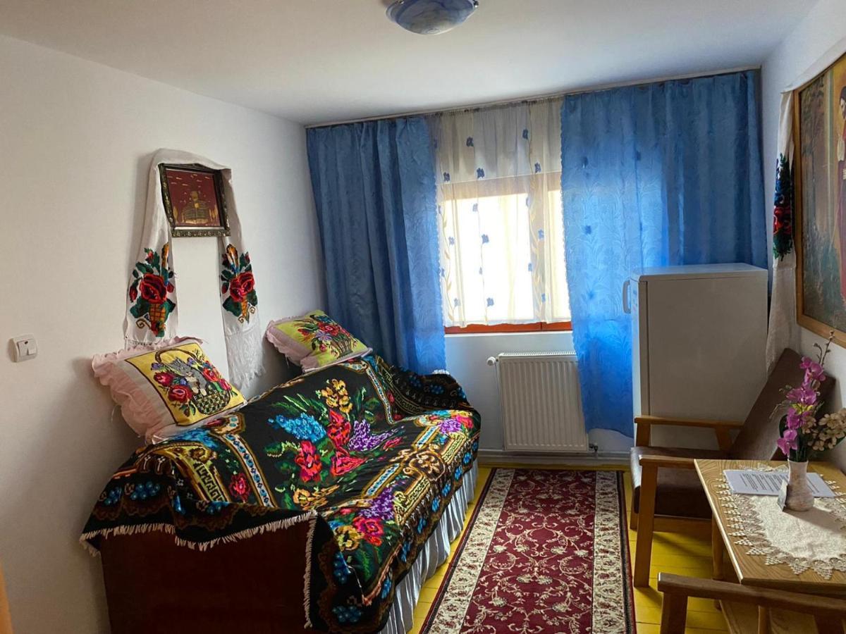 Camere De Inchiriat Floarea Reginei Vişeu de Sus Dış mekan fotoğraf