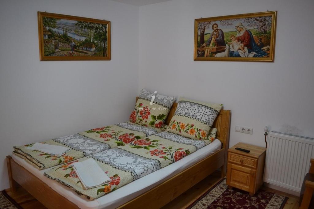 Camere De Inchiriat Floarea Reginei Vişeu de Sus Dış mekan fotoğraf